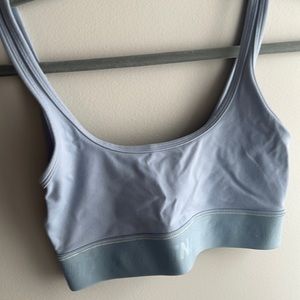 Aritiza Sports Bra